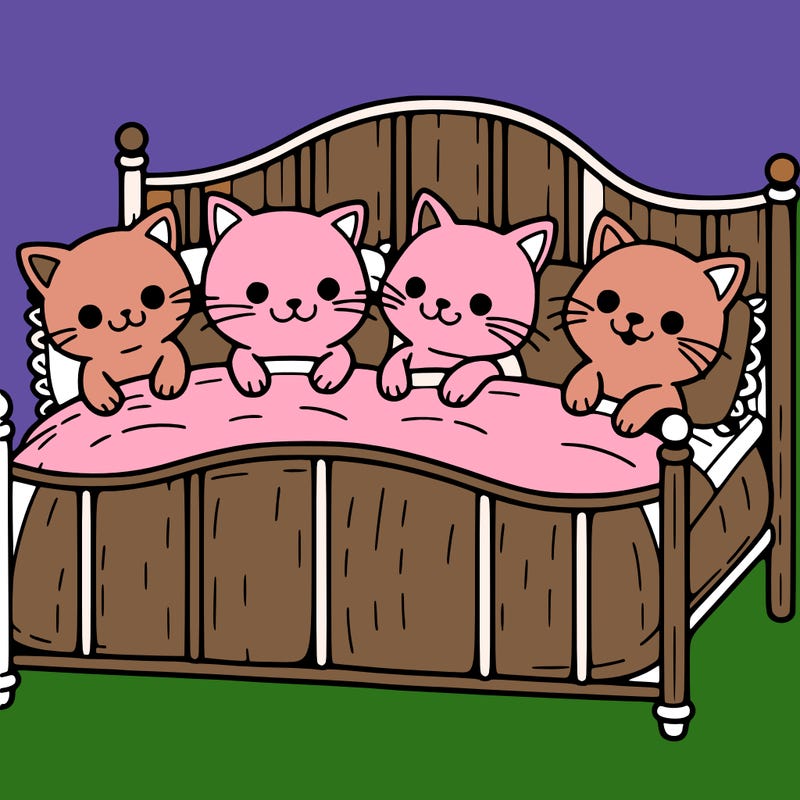 4 cats on a bed