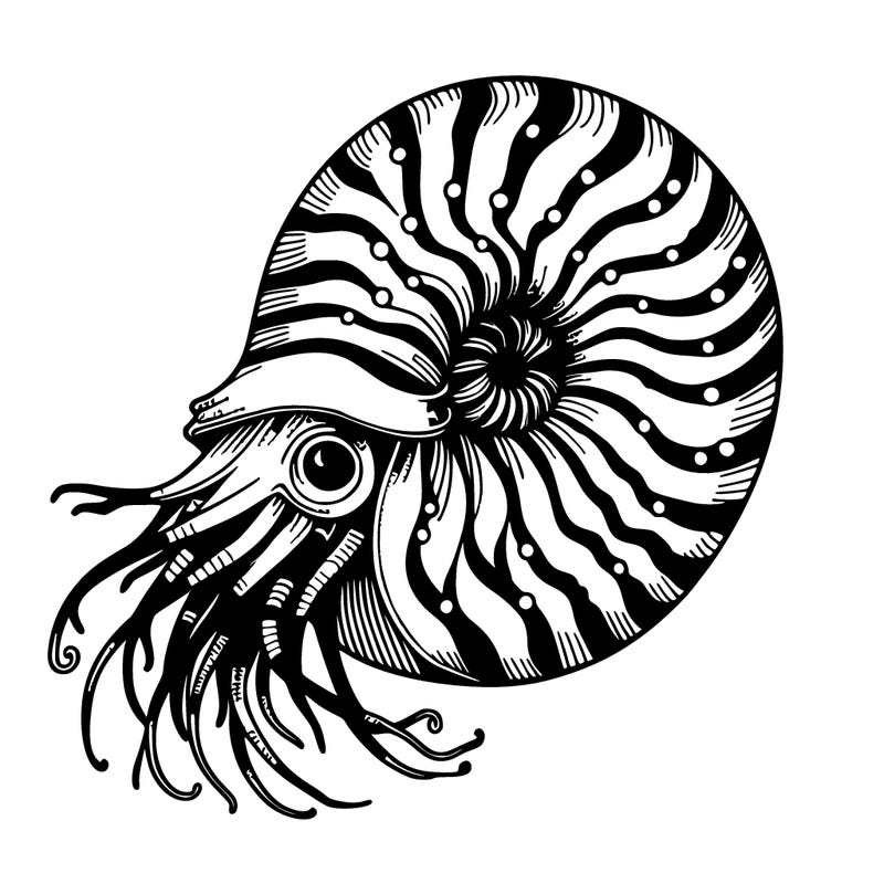 nautilus
