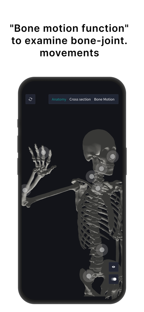 teamLab Body Pro 3d anatomy - 3D human skeleton model in teamLab Body Pro showing joint movement interactive points