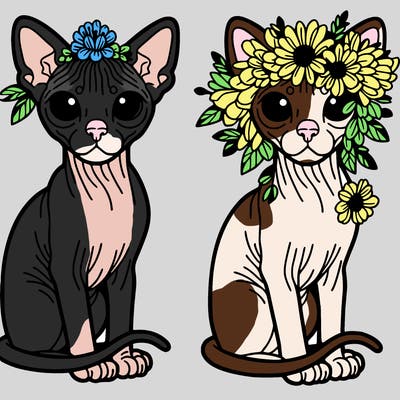 hairless cat with a flower crown