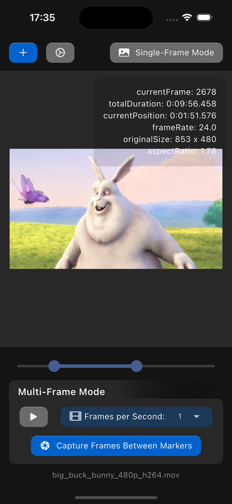 Interfaz de la aplicación Extractor de Fotogramas de Vídeo mostrando el modo de captura de múltiples fotogramas y metadatos de vídeo.