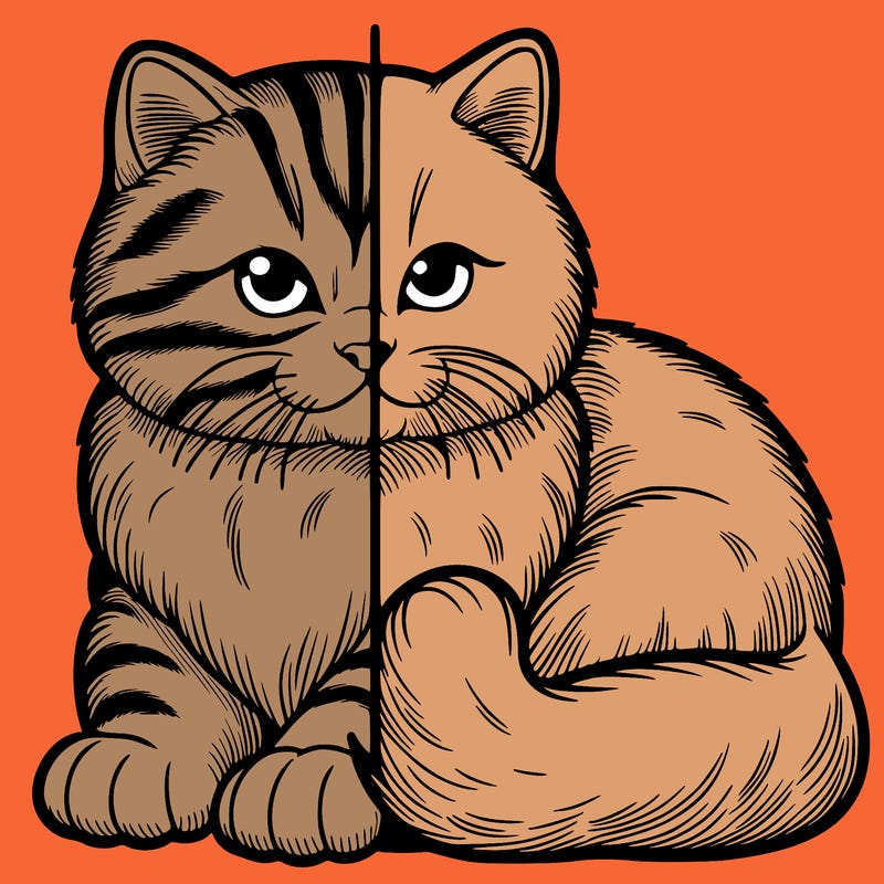 realistic split cat