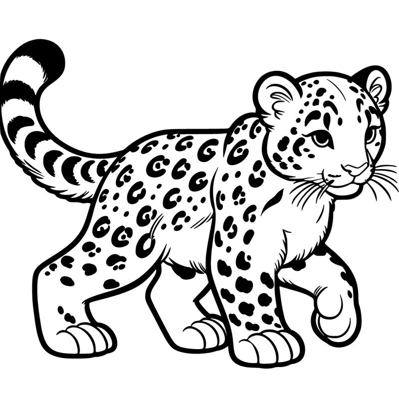snow leopard