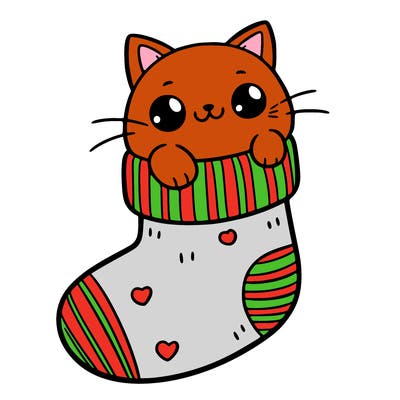 cute cat in a sock