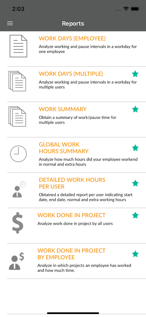 Bixpe Worktime Tracking - Pantalla de informes de la aplicación Bixpe que muestra opciones de análisis de horas de trabajo y proyectos.