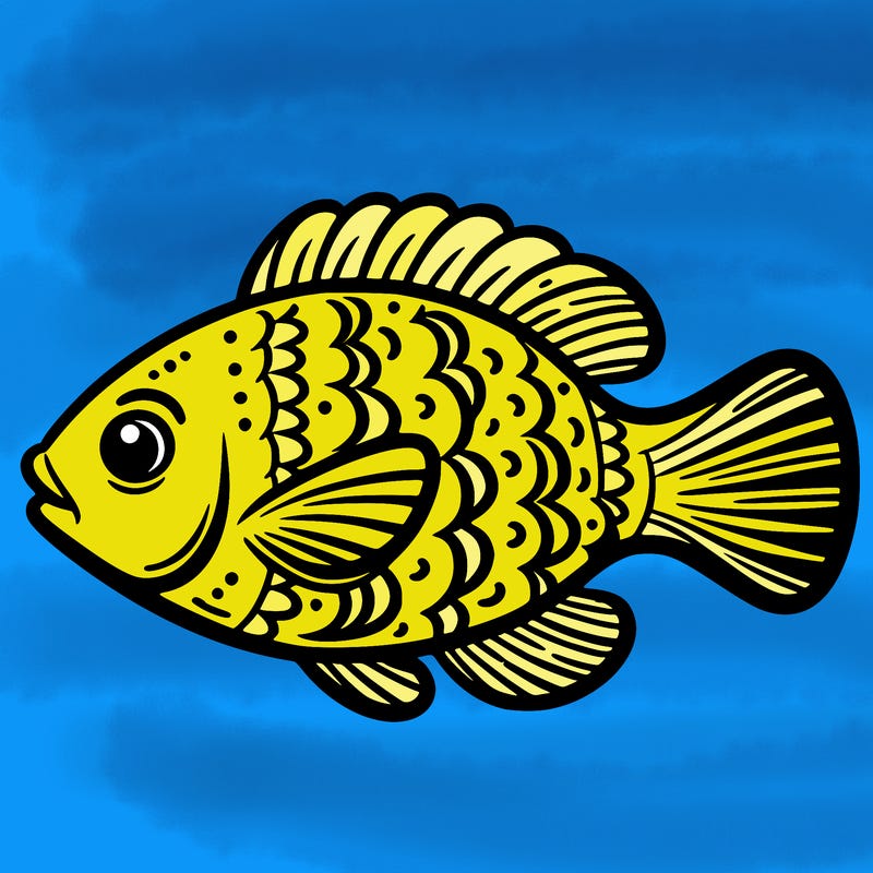 fish