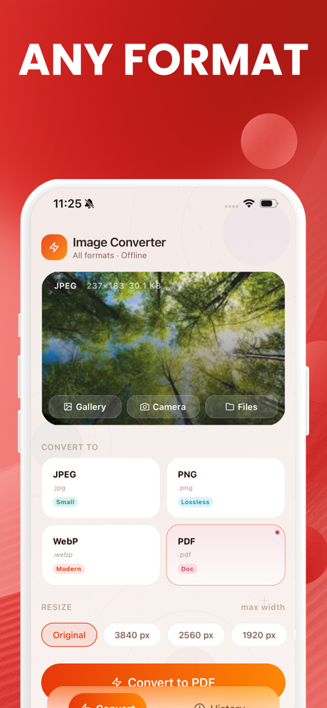 Image Converter: JPEG HEIC PDF - 画像変換のモバイルアプリインターフェースで、リサイズツールを使用して画像をJPEG、PNG、WebP、またはPDF形式に変換するオプションが表示されています