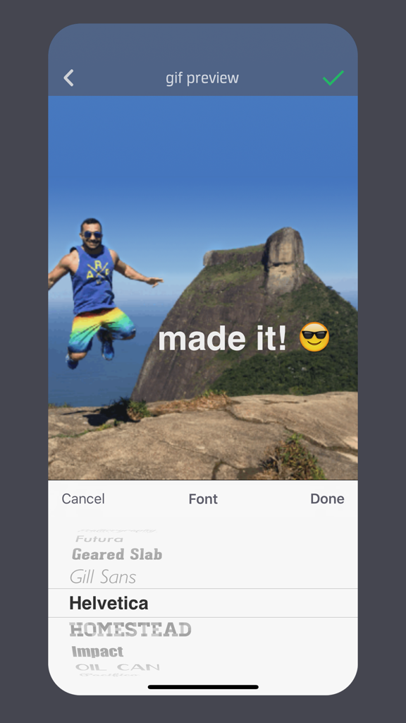 Giffer Pro GIF Maker - Interfaz de la aplicación Giffer Pro mostrando opciones de superposición de texto y selección de fuentes para crear un GIF.