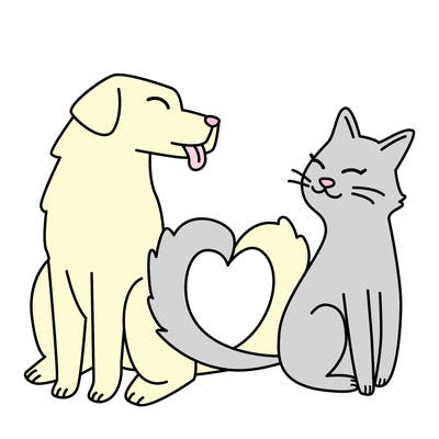 animals_22