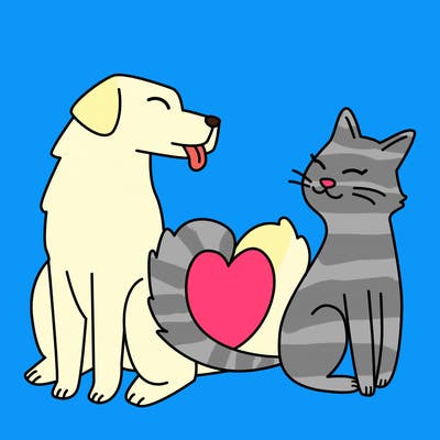 animals_22