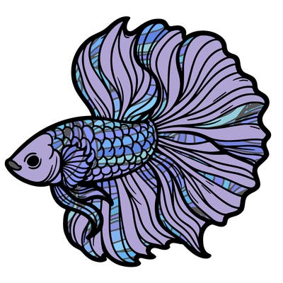 betta fish