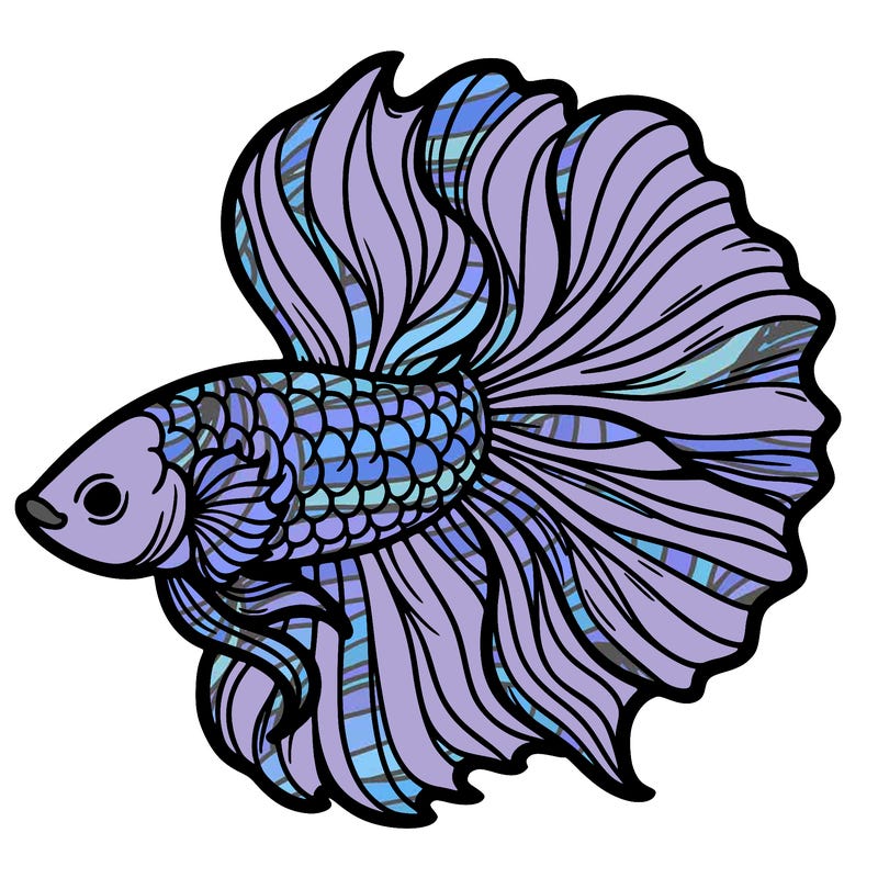 betta fish