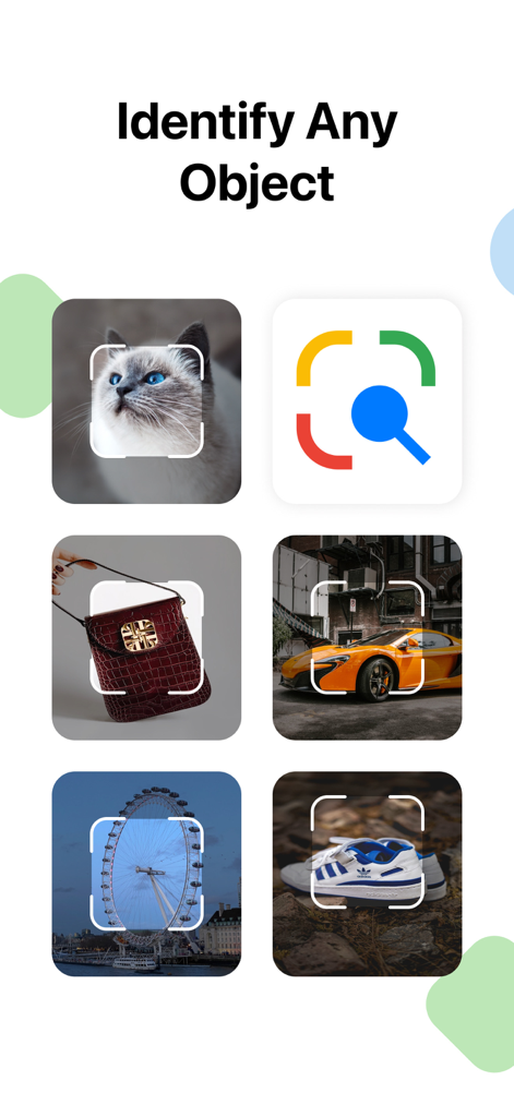 App screen showing the identification of various objects including a cat, a sports car, and a handbag
