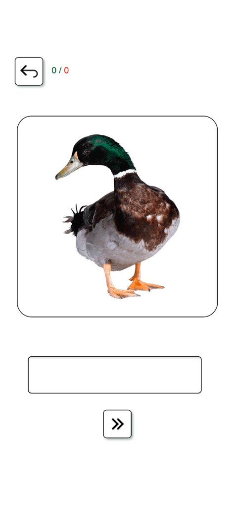 Pantalla interactiva de prueba de ortografía en francés que muestra una foto de un pato ánade real y un cuadro de entrada para practicar vocabulario.