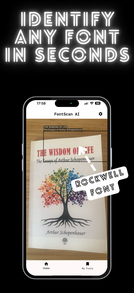 Font identifier - FontScan AI - FontScan AI mobile app identifiziert die Rockwell-Schriftart auf einem Buchcover mit der Smartphone-Kamera