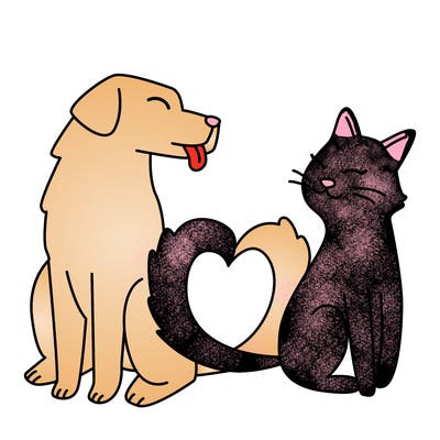 animals_22