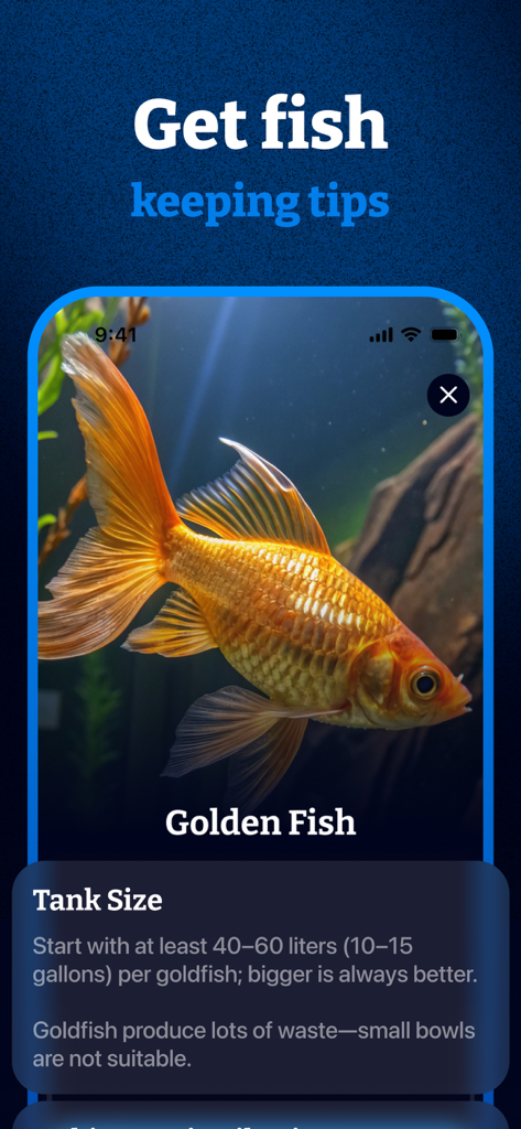 Fish Identifier & Scanner App - Mobile app screen showing fish keeping tips and tank size requirements for a golden fish