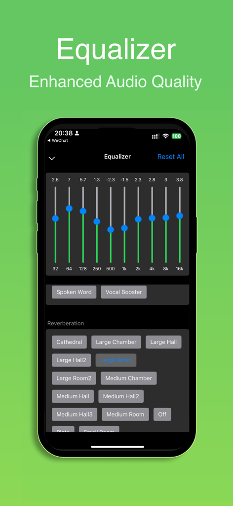 Any MP3 Player - Offline Music - Advanced equalizer interface with frequency sliders and reverberation presets for enhanced audio quality