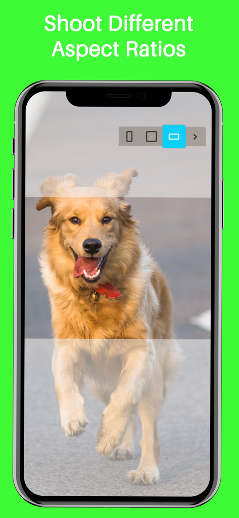 Interface de l'application Hype-Type montrant des options pour sélectionner différents formats d'image de caméra avec la photo d'un chien qui court