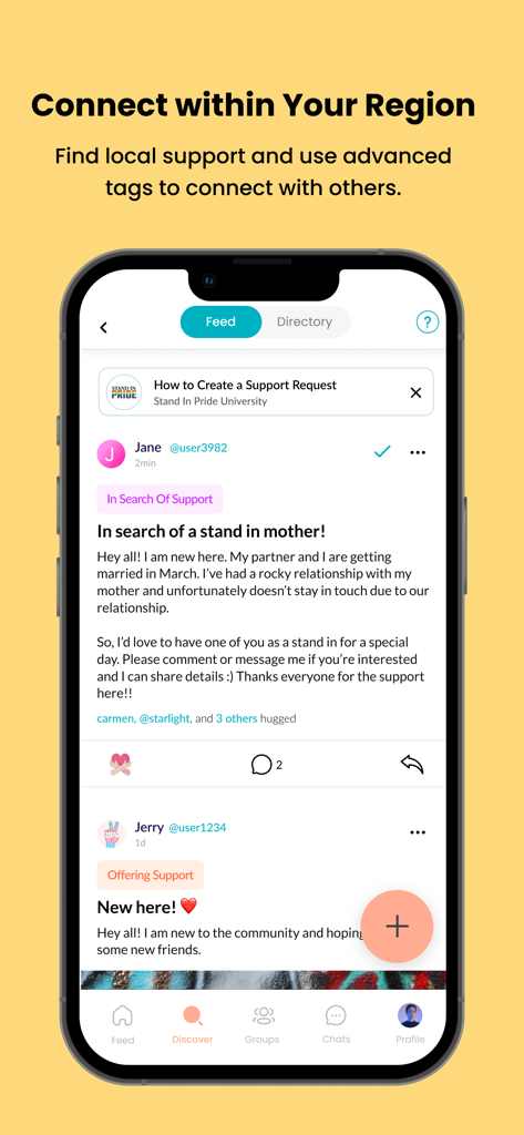 Stand In Pride - Stand In Pride app regional feed with posts from users seeking and offering local community support