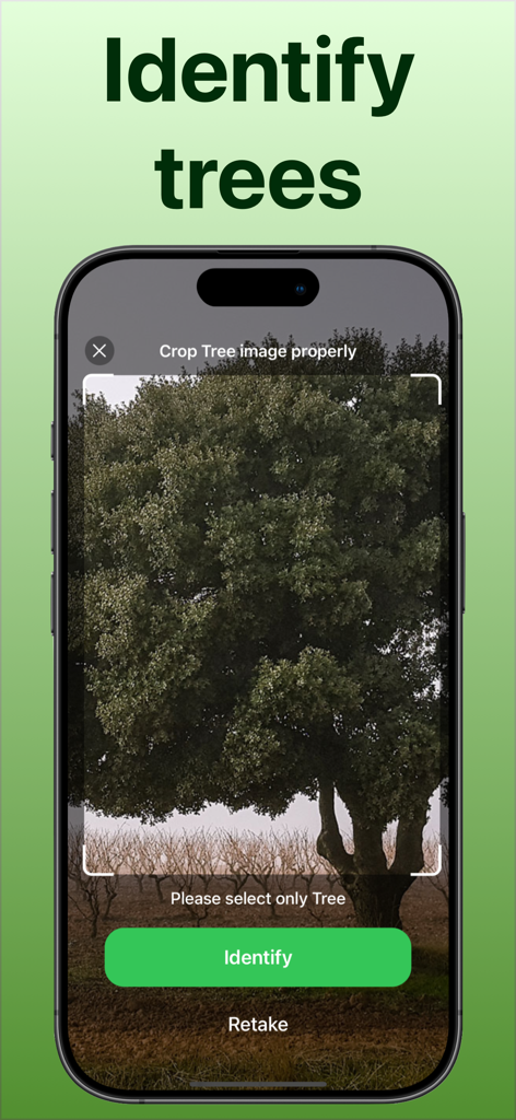 Tree Identifier: Tree id - Interfaz de la aplicación móvil mostrando cómo recortar una imagen de árbol para la identificación IA