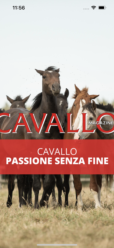 Cavallo Magazine - Cavallo Magazine splash screen featuring a group of horses and the slogan Passione Senza Fine