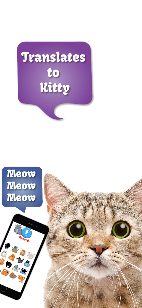Cat Translate: talk to Kitten - A kitten next to a smartphone displaying the Cat Translate app interface