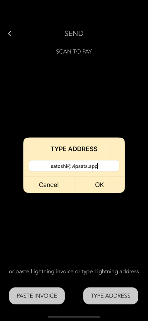 Satoshi Bitcoin Lightning - A mobile app interface for entering a Bitcoin Lightning address to send payments.