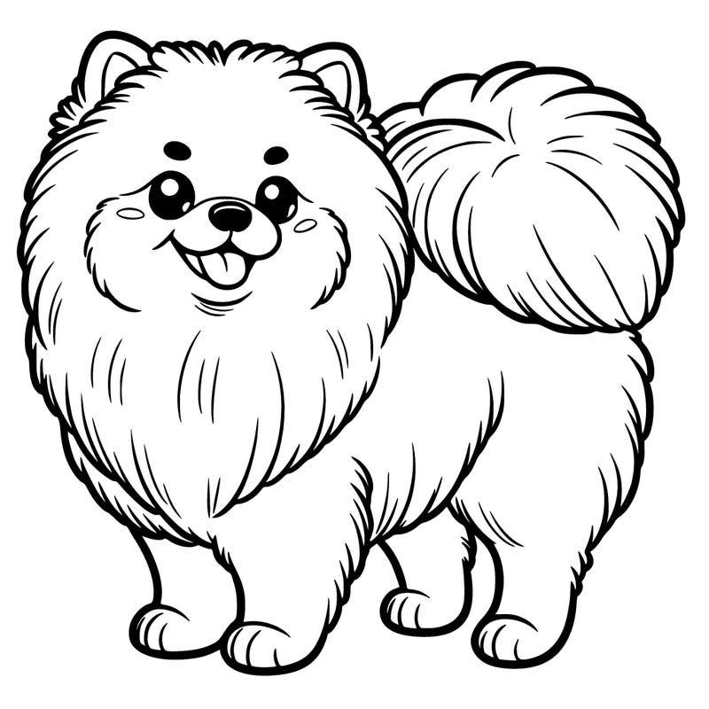pomeranian