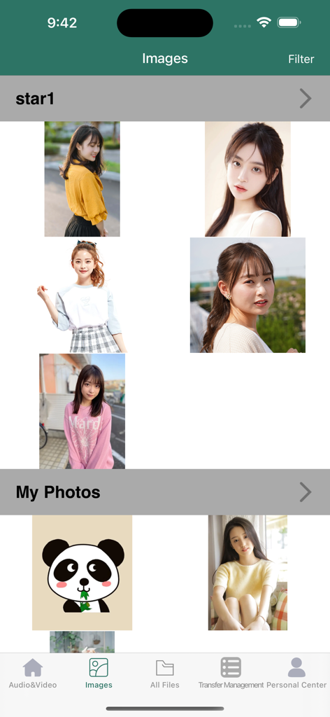 FileMaster Pro app screen displaying organized photo albums and image thumbnails