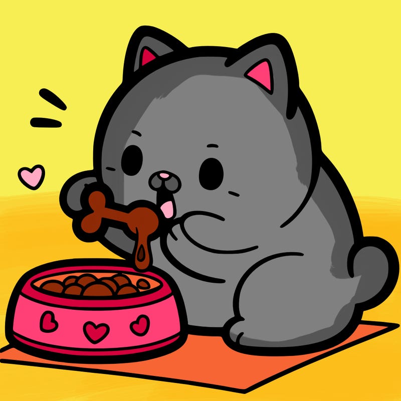 cat eating