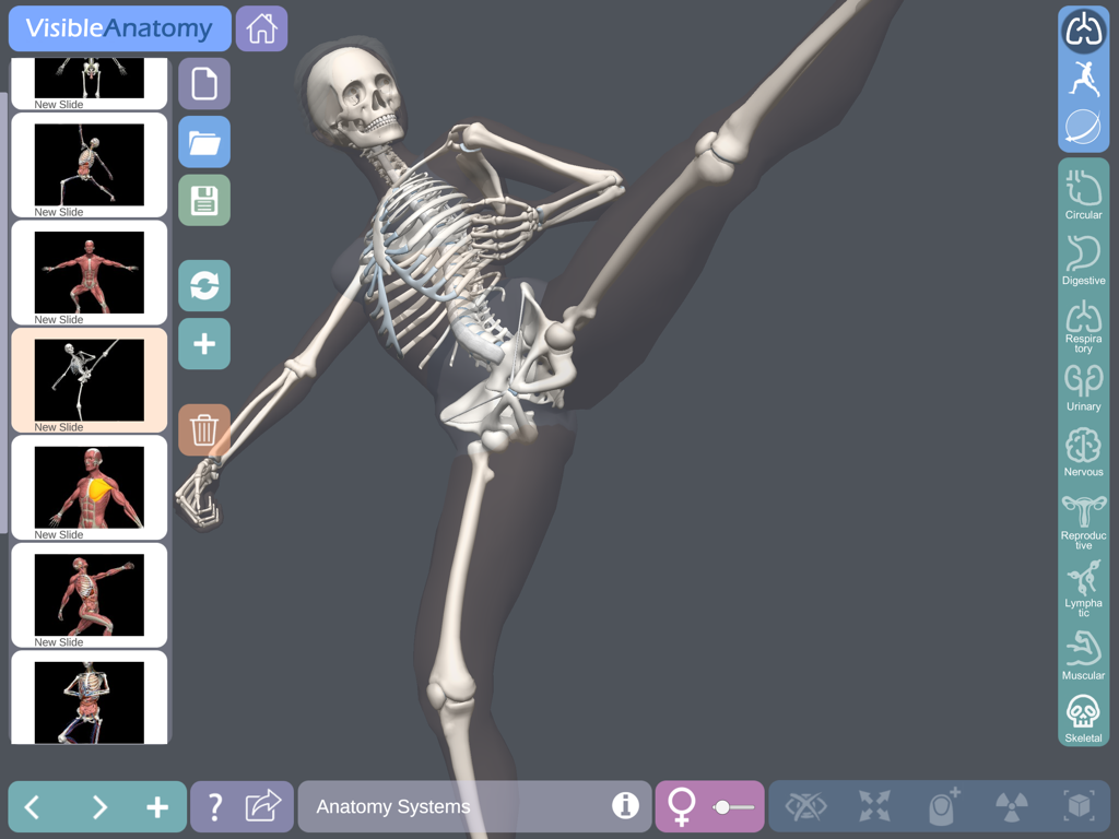 Visible Anatomy - A 3D human skeletal model in a high-kick pose within the Visible Anatomy app interface showing anatomical system icons and slide previews.