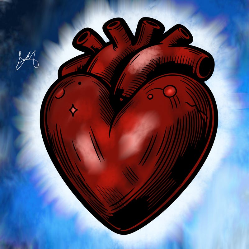 realistic heart