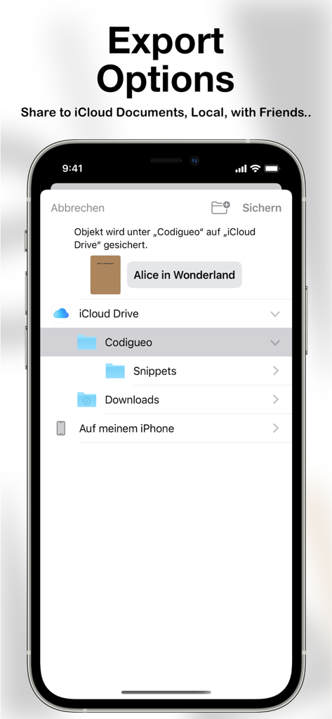 eScribo - eScribo app screenshot showing export options to iCloud Drive and local iPhone storage for a book project.