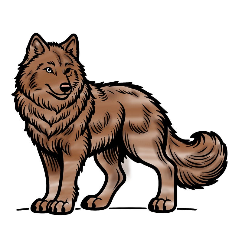 wolf
