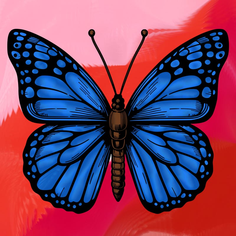 realistic butterfly