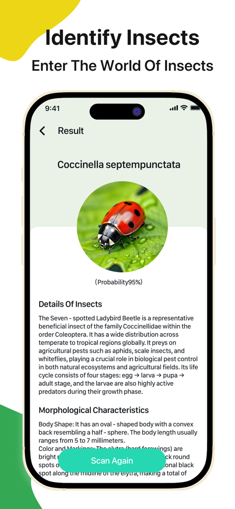 Scanner-picture this - A mobile screen showing the identification of a ladybug with scientific details and classification in the Scanner-picture this app.