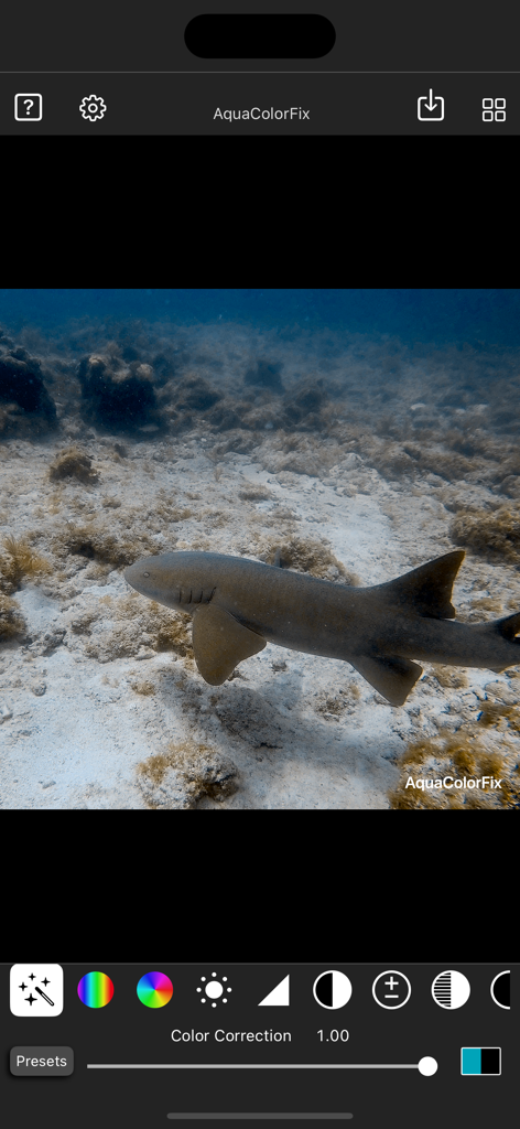 AquaColorFix - Photo & Video - Interface of the AquaColorFix app showing the color correction of an underwater shark photo