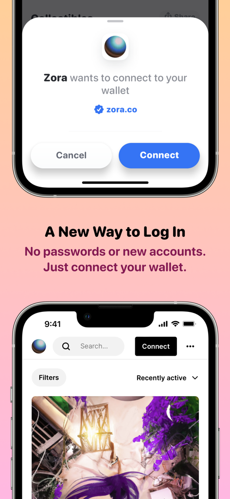 Rainbow Ethereum Wallet interface showing a secure connection to Zora for passwordless login