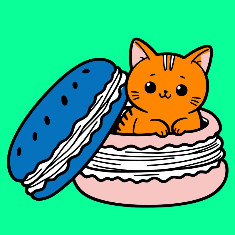cat in a macaron