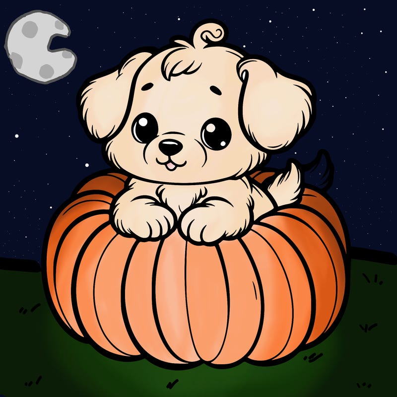 cute little puppy in a pumpkin