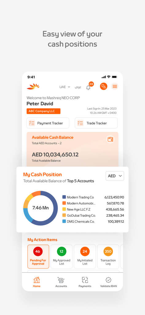 Mashreq NEO CORP - Tableau de bord de l'application Mashreq NEO CORP montrant le solde de trésorerie de l'entreprise et un graphique de la position des comptes.