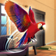 Parrot Simulator: Pet World 3D