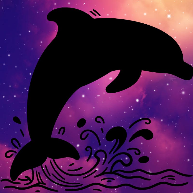dolphin
