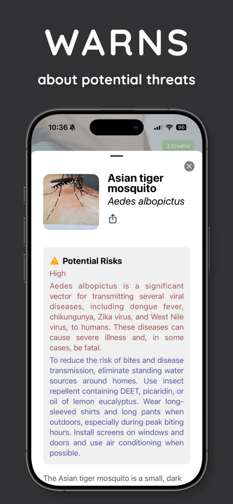 InsectScan - Identify Bugs - Aplicación InsectScan que identifica un mosquito tigre asiático y advierte sobre posibles riesgos para la salud