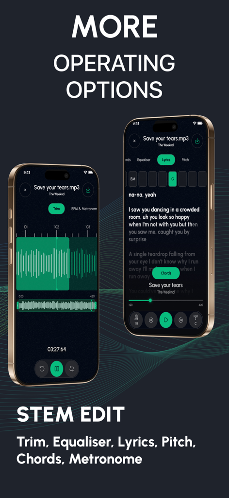 Interfaz de la aplicación Stem Splitter que muestra funciones de recorte de audio y visualización de letras