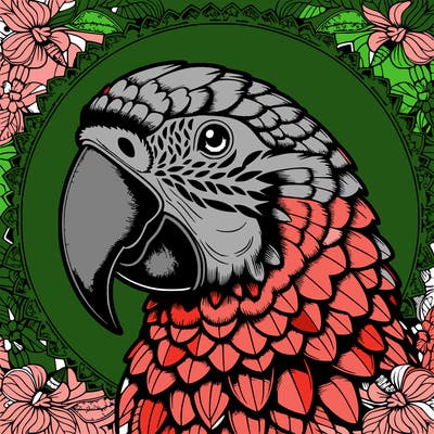 realistic parrot mandala