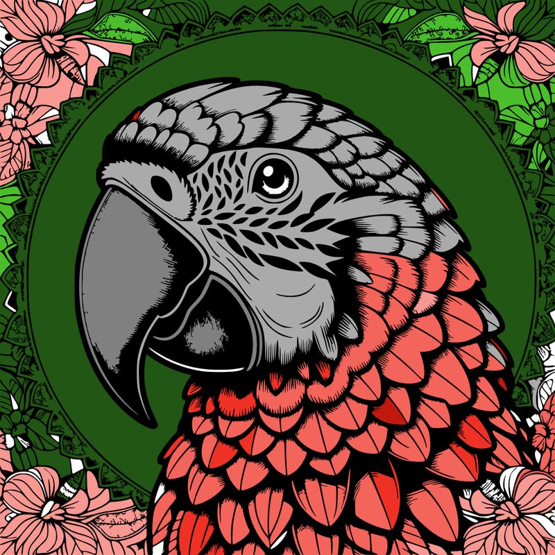 realistic parrot mandala
