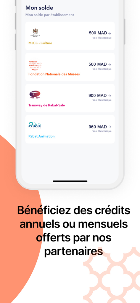 Pass Jeunes - Pass Jeunes app screen displaying available credits for culture transport and entertainment in Morocco