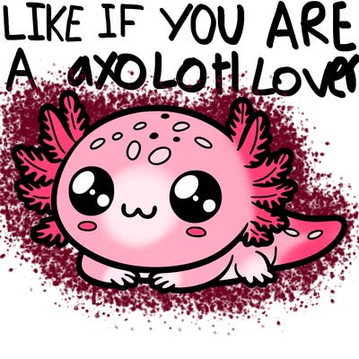 cute axolotl